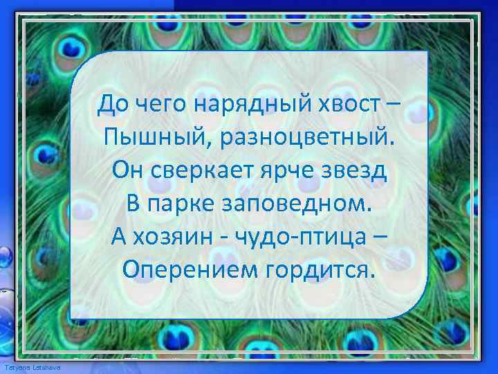 До чего нарядный хвост – Пышный, разноцветный. Он сверкает ярче звезд В парке заповедном.