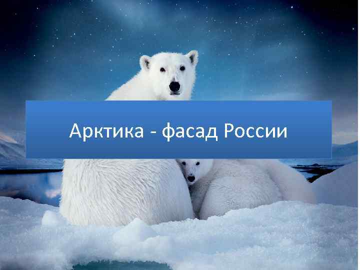 Арктика - фасад России 