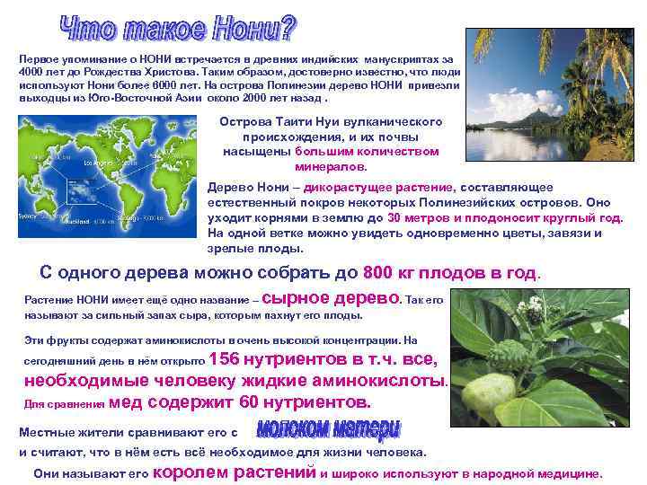 Первое упоминание о НОНИ встречается в древних индийских манускриптах за 4000 лет до Рождества