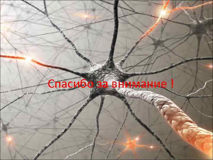 Спасибо за внимание ! 