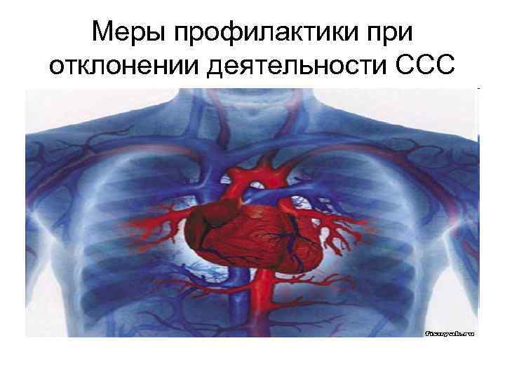 Меры профилактики при отклонении деятельности ССС 