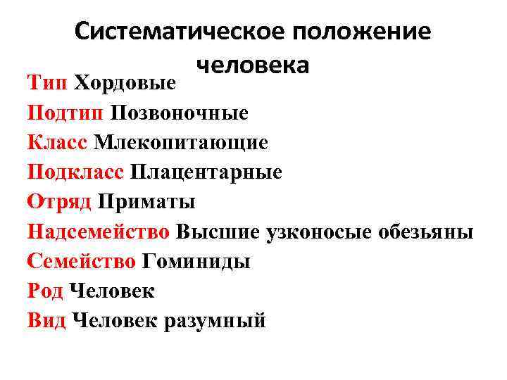 Систематическое положение человека Тип Хордовые Подтип Позвоночные Класс Млекопитающие Подкласс Плацентарные Отряд Приматы Надсемейство