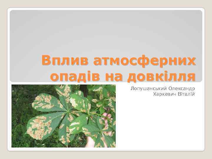 Вплив атмосферних опадів на довкілля Лопушанський Олександр Харкевич Віталій 