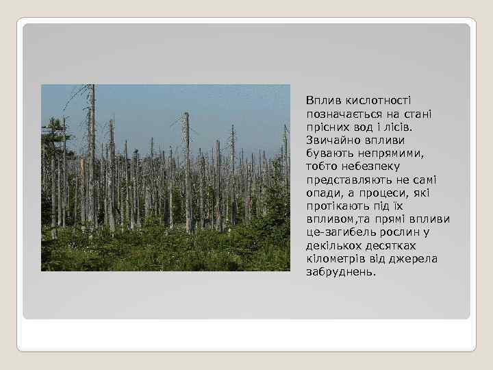 Вплив кислотності позначається на стані прісних вод і лісів. Звичайно впливи бувають непрямими, тобто