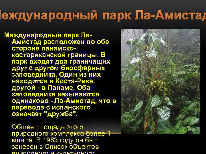 Международный парк Ла-Амистад Международный парк Ла. Амистад расположен по обе стороне панамскокостариканской границы. В