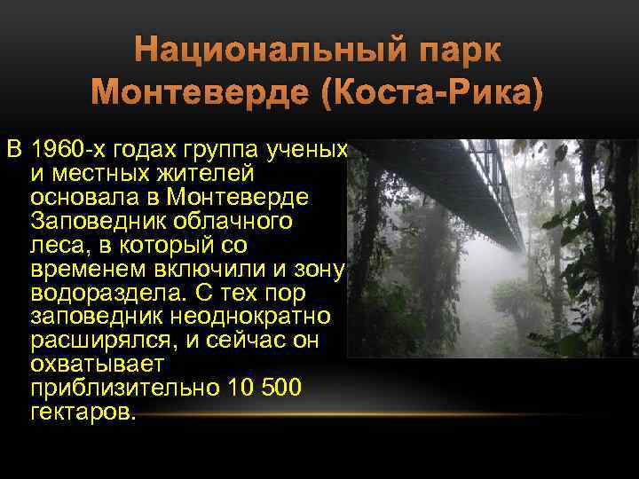 Национальный парк Монтеверде (Коста-Рика) В 1960 -х годах группа ученых и местных жителей основала