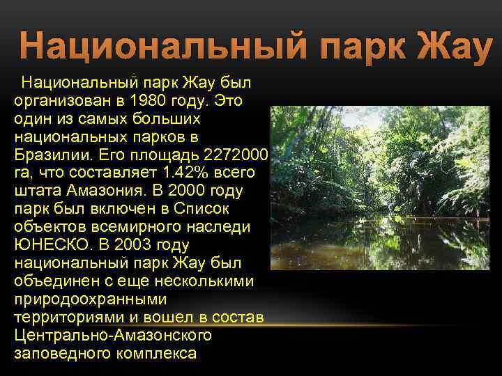 Национальный парк Жау был организован в 1980 году. Это один из самых больших национальных