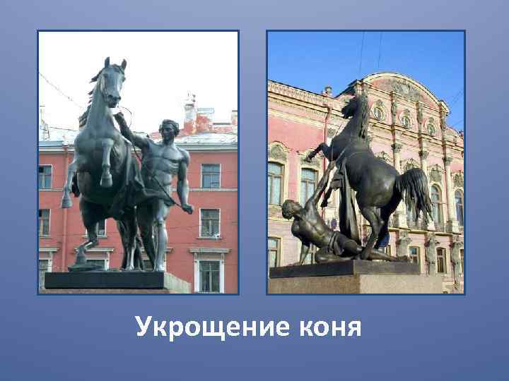 Укрощение коня 