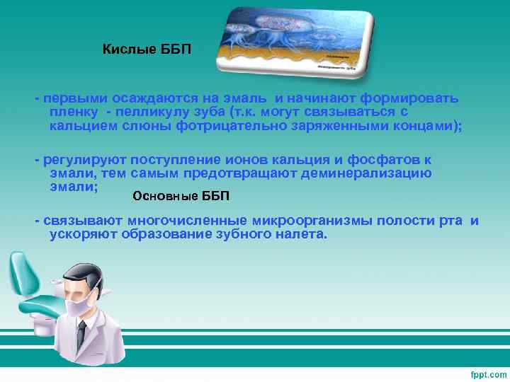 Кислые ББП - первыми осаждаются на эмаль и начинают формировать пленку - пелликулу зуба