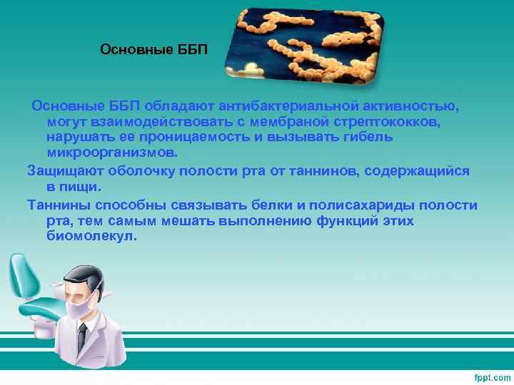 Основные ББП обладают антибактериальной активностью, могут взаимодействовать с мембраной стрептококков, нарушать ее проницаемость и