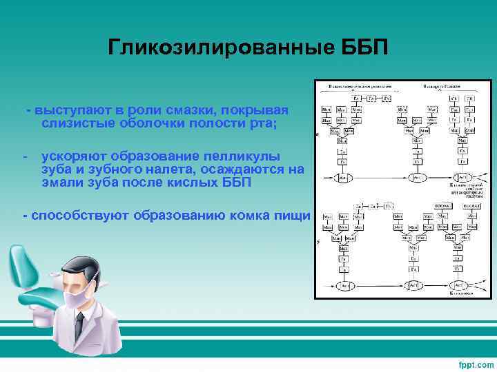 Гликозилированные ББП - выступают в роли смазки, покрывая слизистые оболочки полости рта; - ускоряют