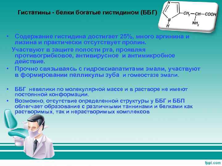 Гистатины - белки богатые гистидином (ББГ) • Содержание гистидина достигает 25%, много аргинина и