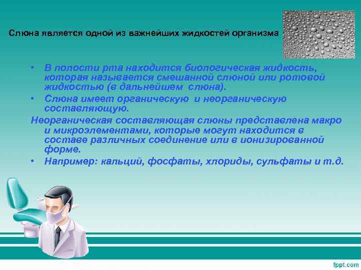 Слюна является одной из важнейших жидкостей организма • В полости рта находится биологическая жидкость,