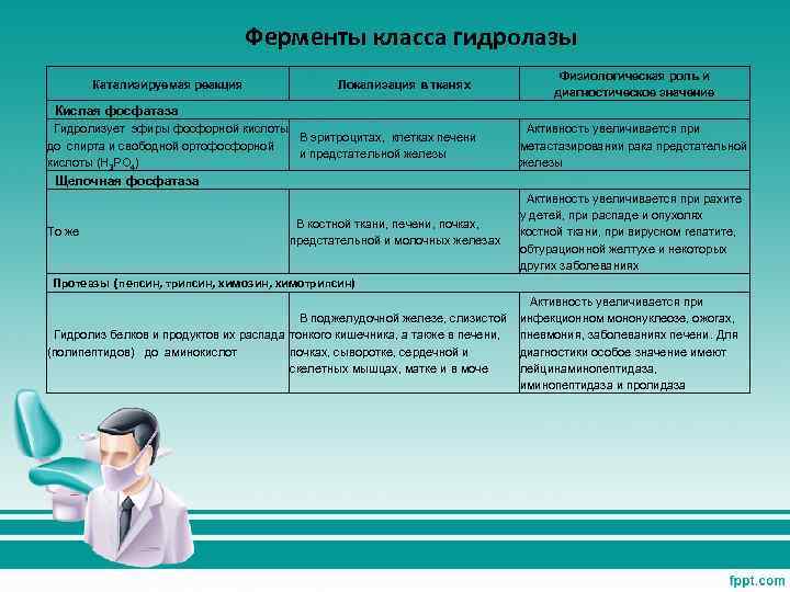 Ферменты класса гидролазы Катализируемая реакция Локализация в тканях Физиологическая роль и диагностическое значение Кислая