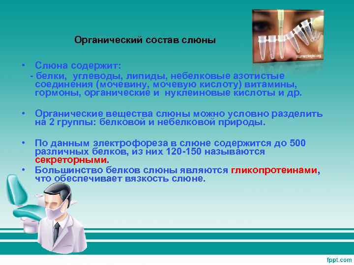 Органический состав слюны • Слюна содержит: - белки, углеводы, липиды, небелковые азотистые соединения (мочевину,