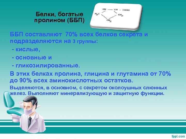 Белки, богатые пролином (ББП) ББП составляют 70% всех белков секрета и подразделяются на 3