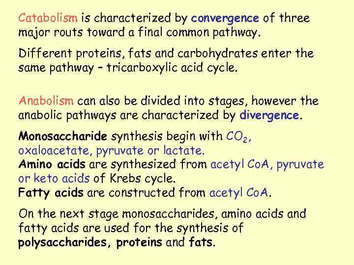 Catabolism is characterized by convergence of three major routs toward a final common pathway.