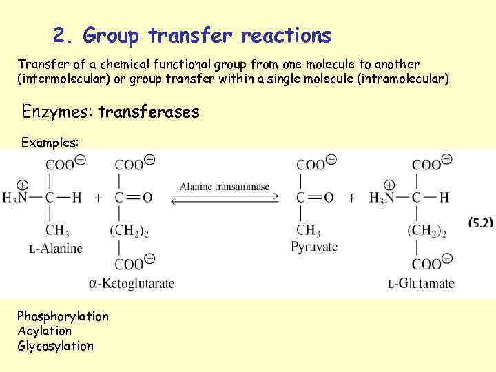 2. Group transfer reactions Transfer of a chemical functional group from one molecule to