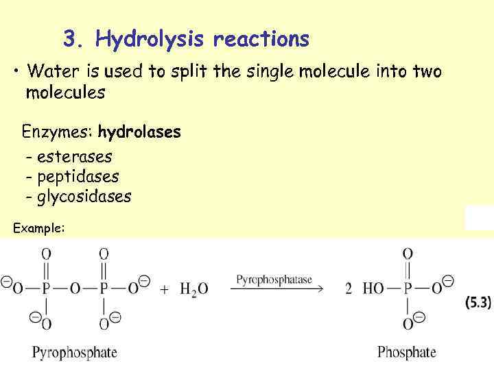 3. Hydrolysis reactions • Water is used to split the single molecule into two