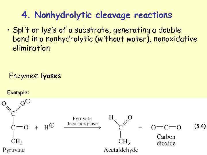 4. Nonhydrolytic cleavage reactions • Split or lysis of a substrate, generating a double