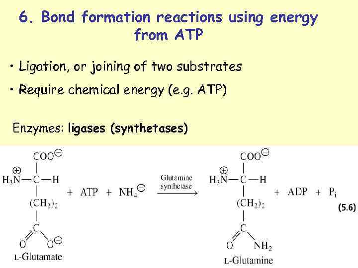 6. Bond formation reactions using energy from ATP • Ligation, or joining of two