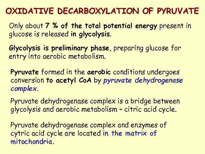 OXIDATIVE DECARBOXYLATION OF PYRUVATE Only about 7 % of the total potential energy present