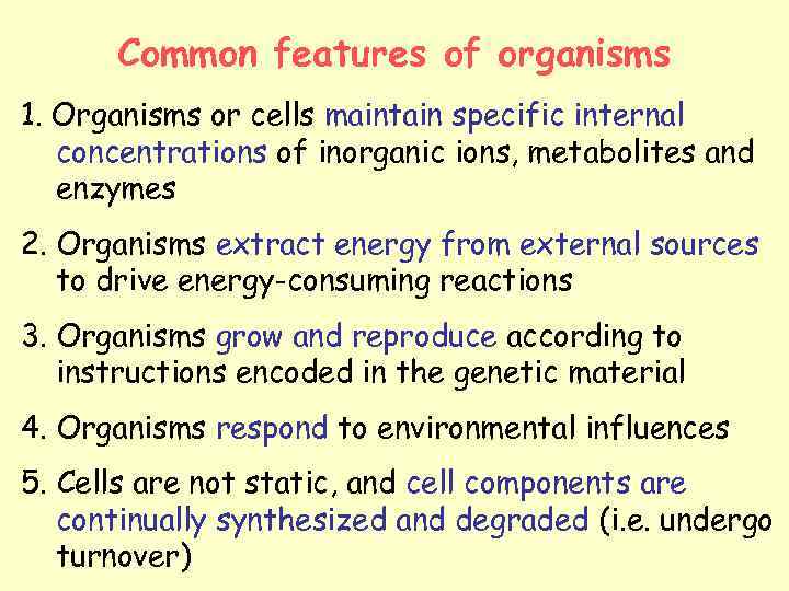 Common features of organisms 1. Organisms or cells maintain specific internal concentrations of inorganic