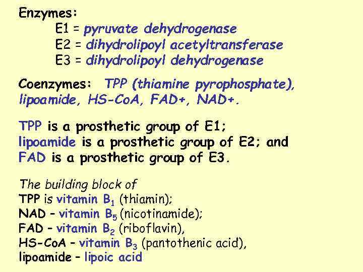 Enzymes: E 1 = pyruvate dehydrogenase E 2 = dihydrolipoyl acetyltransferase E 3 =