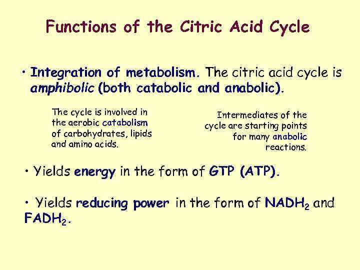 Functions of the Citric Acid Cycle • Integration of metabolism. The citric acid cycle