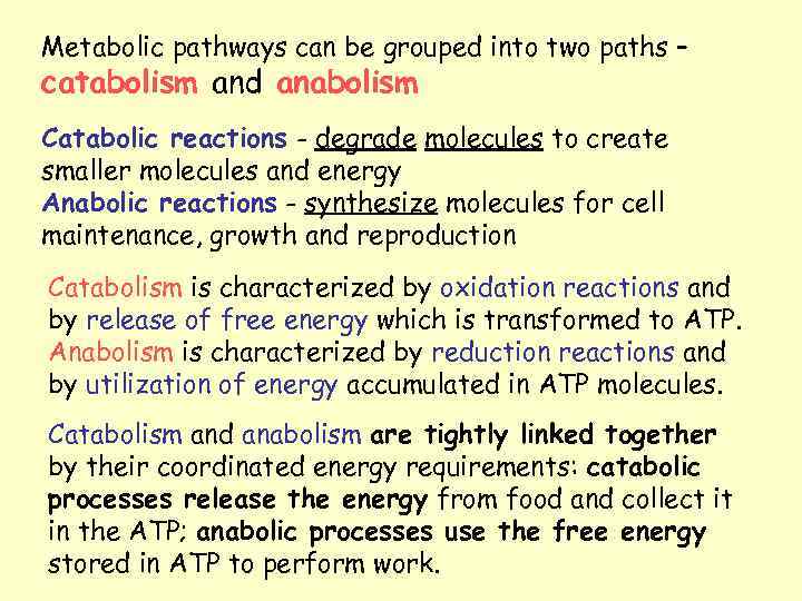 Metabolic pathways can be grouped into two paths – catabolism and anabolism Catabolic reactions