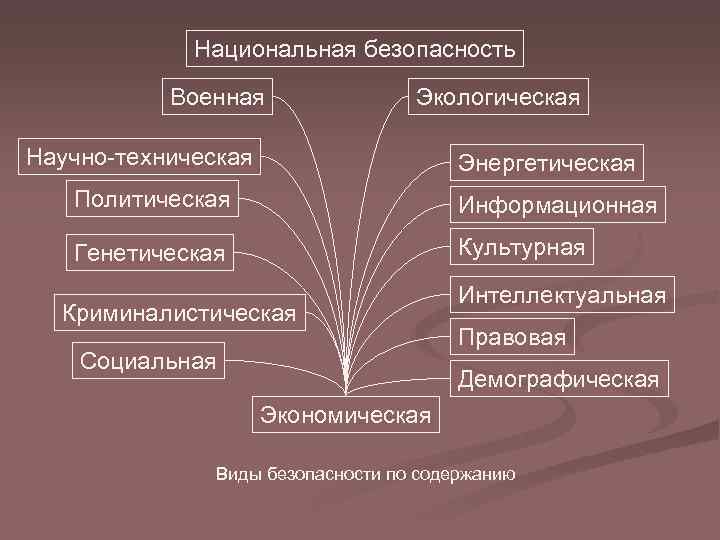 Национальная безопасность Военная Экологическая Научно-техническая Энергетическая Политическая Информационная Генетическая Культурная Криминалистическая Социальная Интеллектуальная Правовая