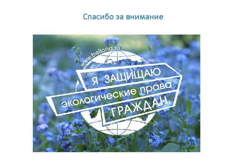 Спасибо за внимание 