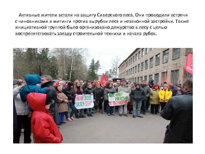 Активные жители встали на защиту Сиверского леса. Они проводили встречи с чиновниками и