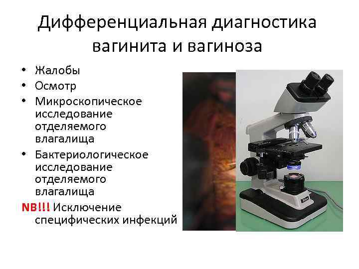 Дифференциальная диагностика вагинита и вагиноза • Жалобы • Осмотр • Микроскопическое исследование отделяемого из