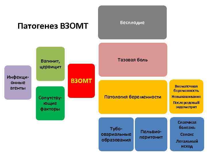 Патогенез ВЗОМТ Тазовая боль Вагинит, цервицит Инфекционные агенты Бесплодие ВЗОМТ Сопутствующие факторы Внематочная беременность