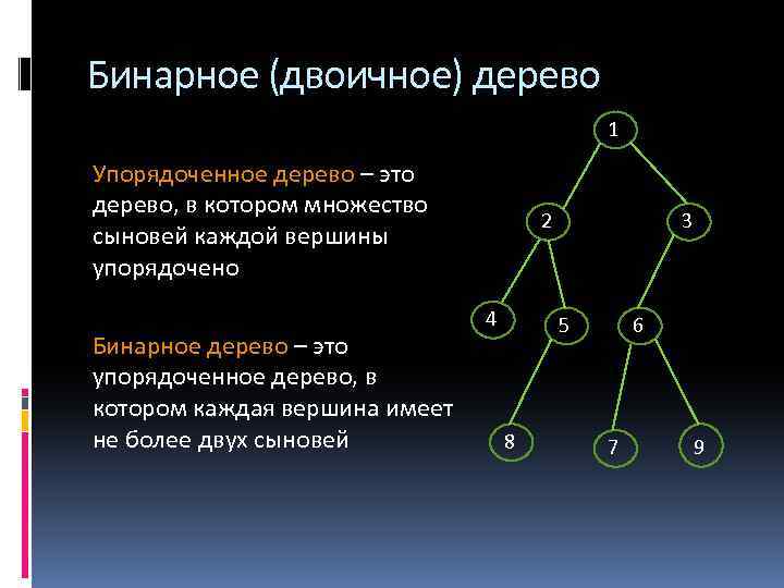 Бинарное (двоичное) дерево 1 Упорядоченное дерево – это дерево, в котором множество сыновей каждой