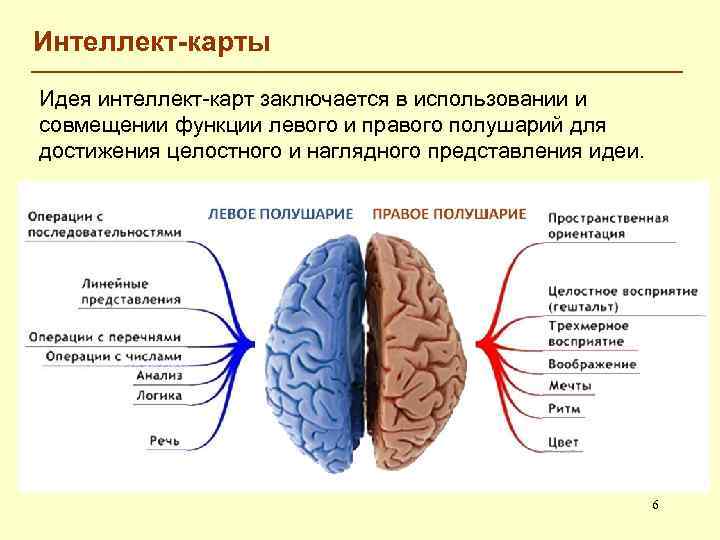 Интеллект-карты Идея интеллект-карт заключается в использовании и совмещении функции левого и правого полушарий для