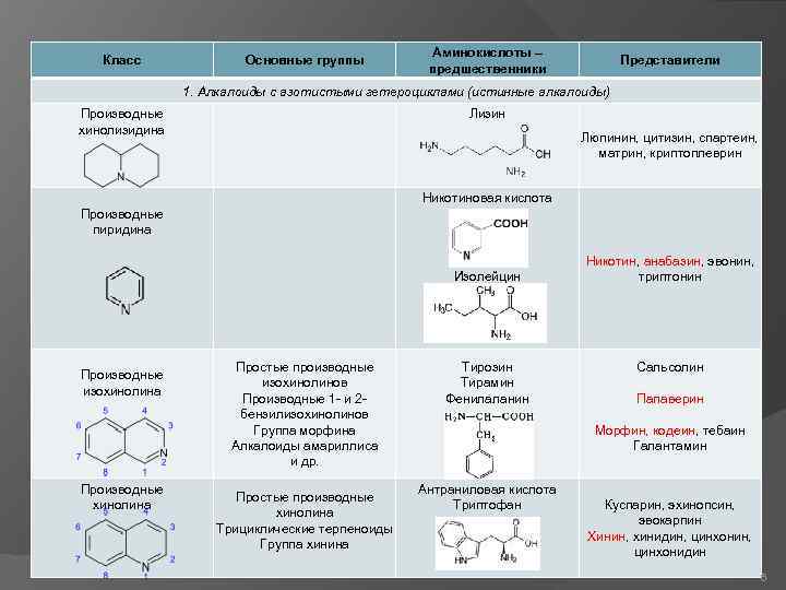 Класс Основные группы Аминокислоты – предшественники Представители 1. Алкалоиды с азотистыми гетероциклами (истинные алкалоиды)