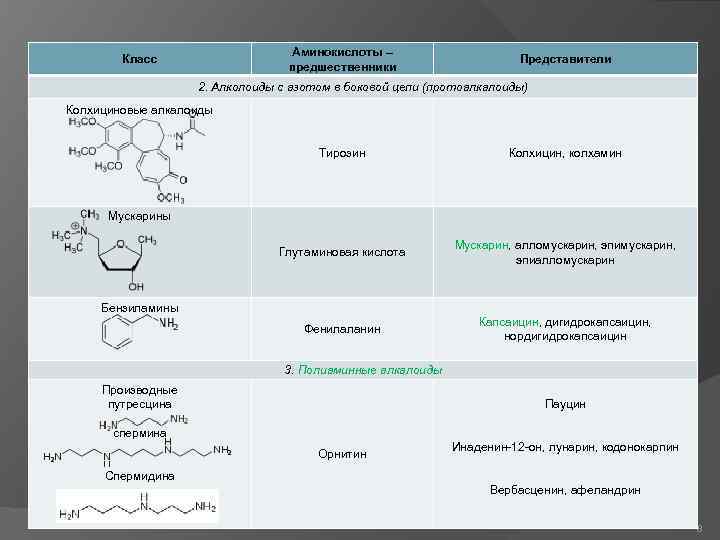 Аминокислоты – предшественники Класс Представители 2. Алколоиды с азотом в боковой цепи (протоалкалоиды) Колхициновые