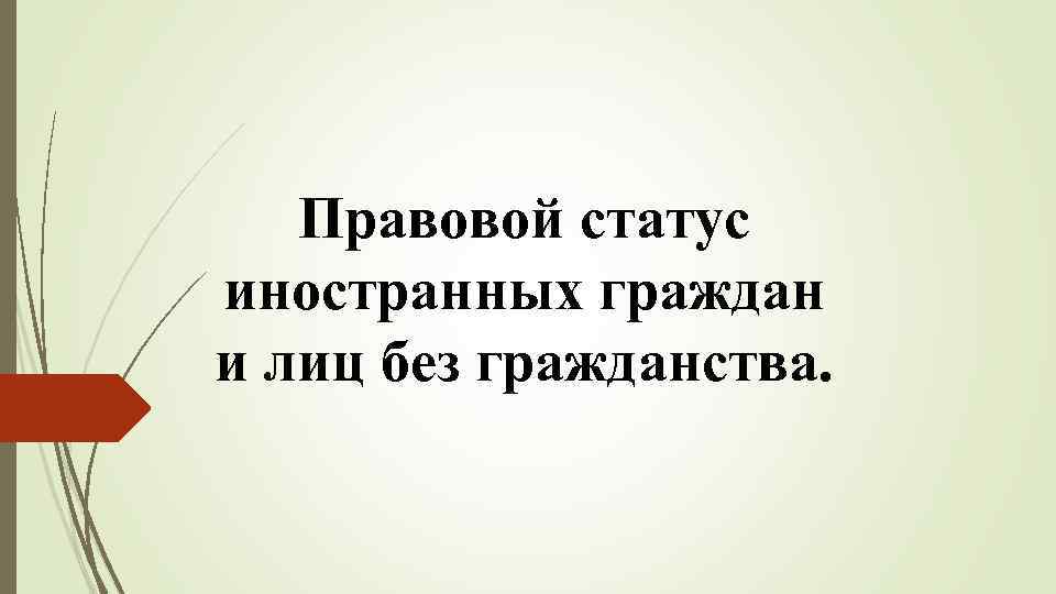 Правовой статус иностранных граждан и лиц без гражданства. 