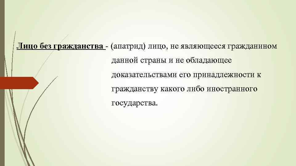 Лицо без гражданства это. Лицо без гражданства.