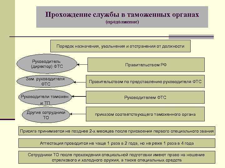 Прохождение службы в таможенных органах (продолжение) Порядок назначения, увольнения и отстранения от должности Руководитель