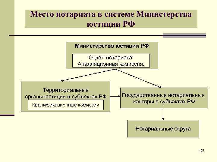 Место нотариата в системе Министерства юстиции РФ Министерство юстиции РФ Отдел нотариата Аппеляционная комиссия