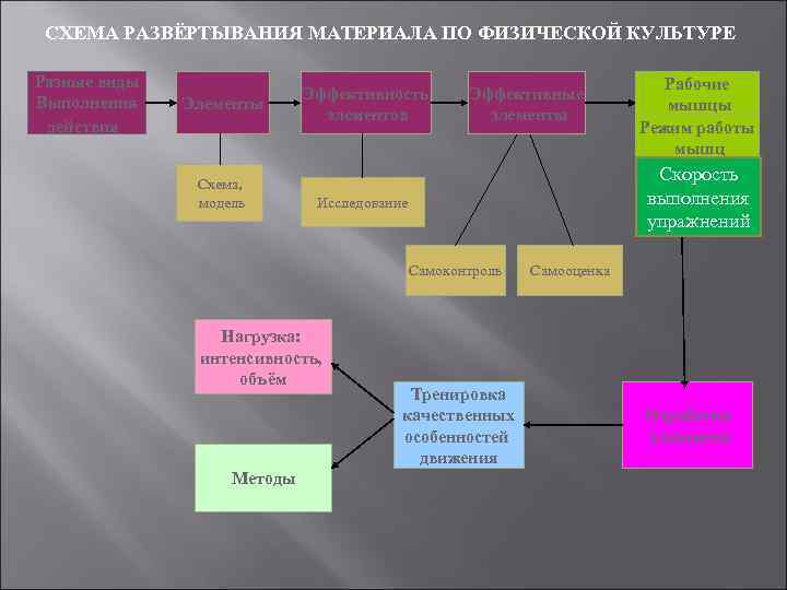 СХЕМА РАЗВЁРТЫВАНИЯ МАТЕРИАЛА ПО ФИЗИЧЕСКОЙ КУЛЬТУРЕ Разные виды Выполнения действия Элементы Схема, модель Эффективность