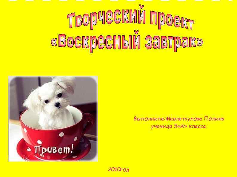 Выполнила: Мавлеткулова Полина ученица 5 «А» класса. 2010 год 