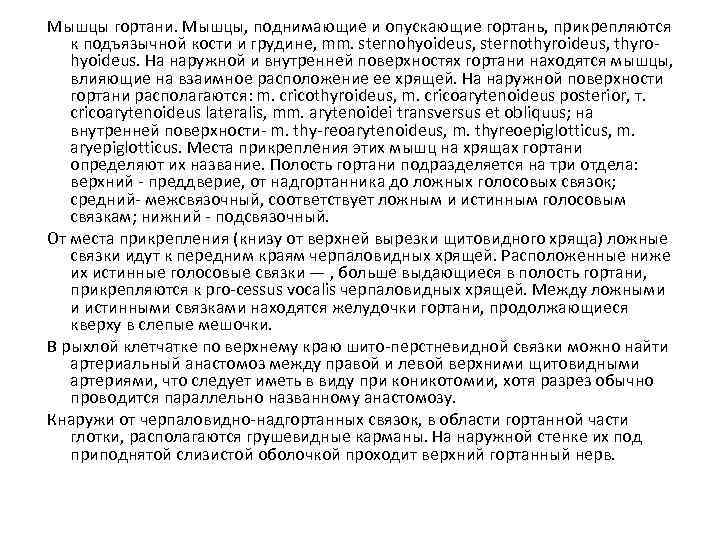 Мышцы гортани. Мышцы, поднимающие и опускающие гортань, прикрепляются к подъязычной кости и грудине, mm.