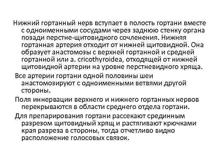 Нижний гортанный нерв вступает в полость гортани вместе с одноименными сосудами через заднюю стенку