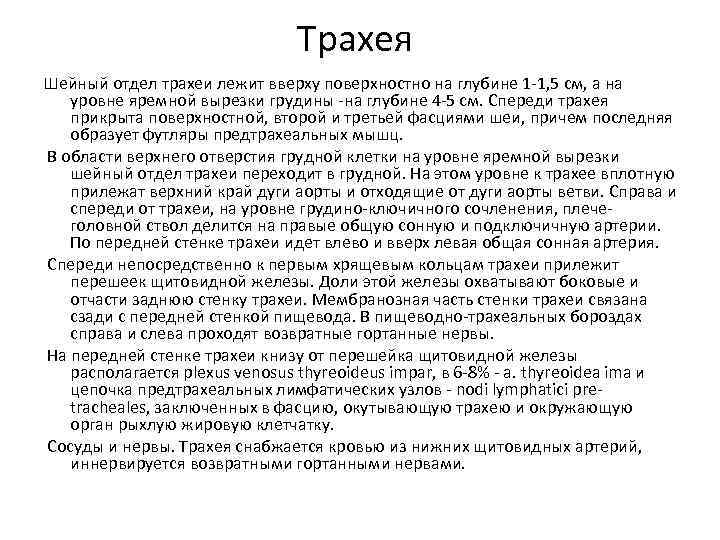Трахея Шейный отдел трахеи лежит вверху поверхностно на глубине 1 -1, 5 см, а
