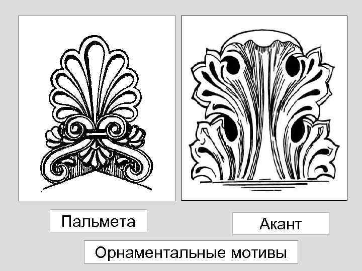 Пальмета Акант Орнаментальные мотивы 
