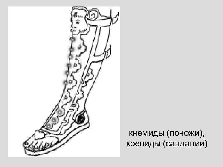 кнемиды (поножи), крепиды (сандалии) 